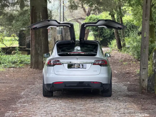 Tesla Model X 100D 36