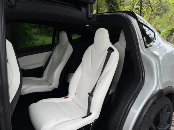Tesla Model X 100D 46