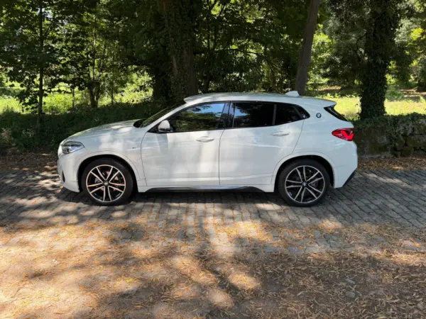 BMW X2 16 d sDrive Auto X Pack M 10