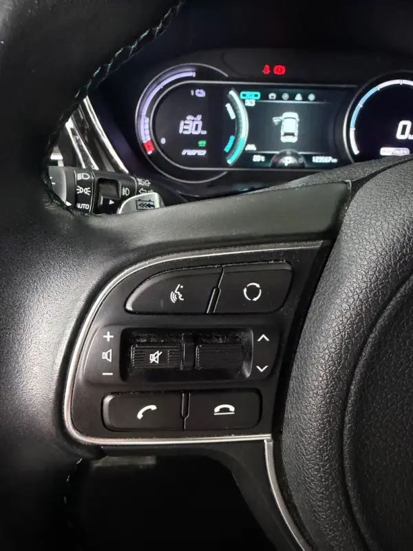 Kia e-Niro 64kWh 15