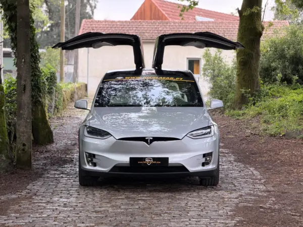 Tesla Model X 100D 37