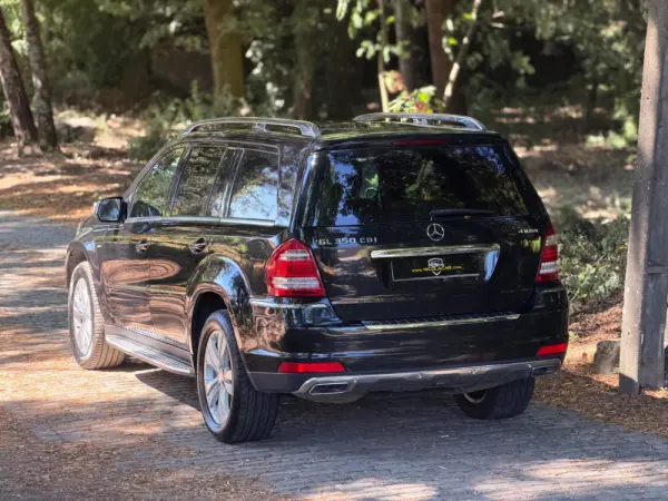 Mercedes-Benz GL 350 CDI BlueEfficiency 38