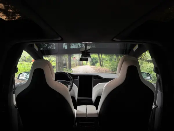 Tesla Model X 100D 44