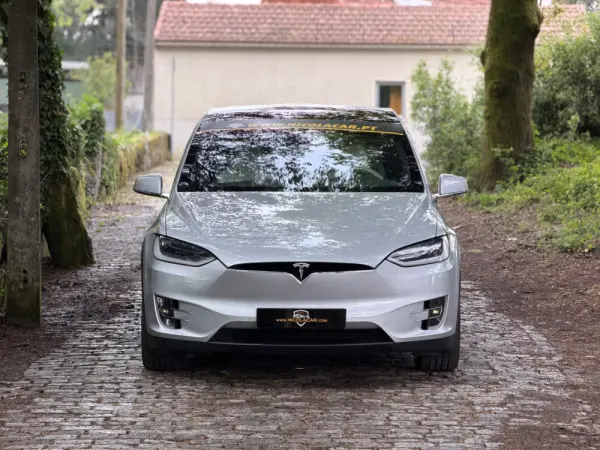 Tesla Model X 100D 32