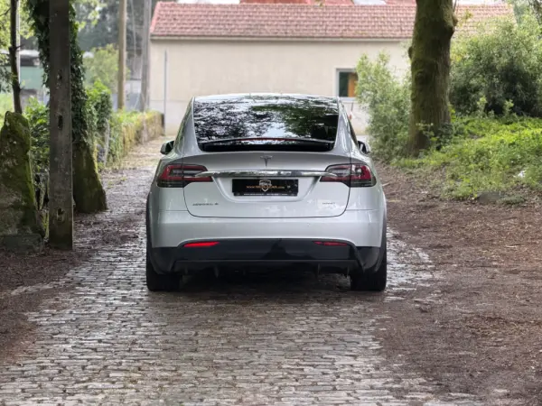 Tesla Model X 100D 6