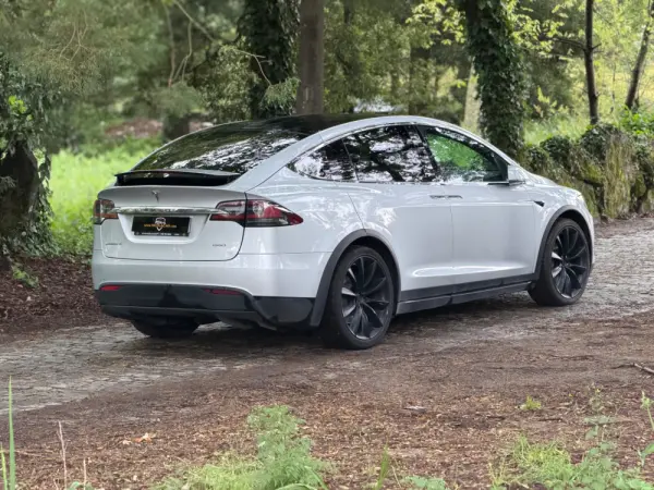 Tesla Model X 100D 20