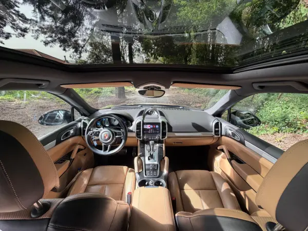 Porsche Cayenne S E-Hybrid Platinum Edition 10