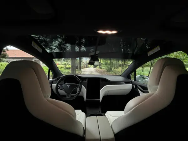 Tesla Model X 100D 43