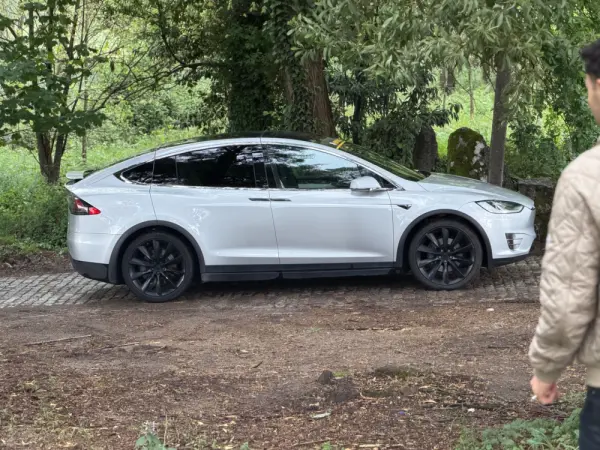 Tesla Model X 100D 19
