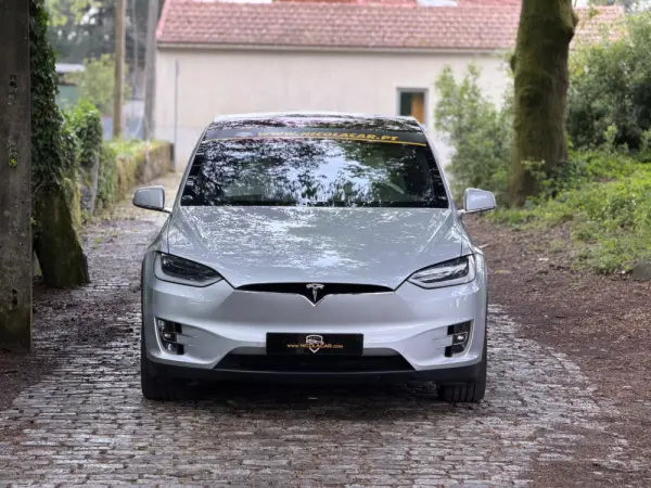 Tesla Model X 100D 33
