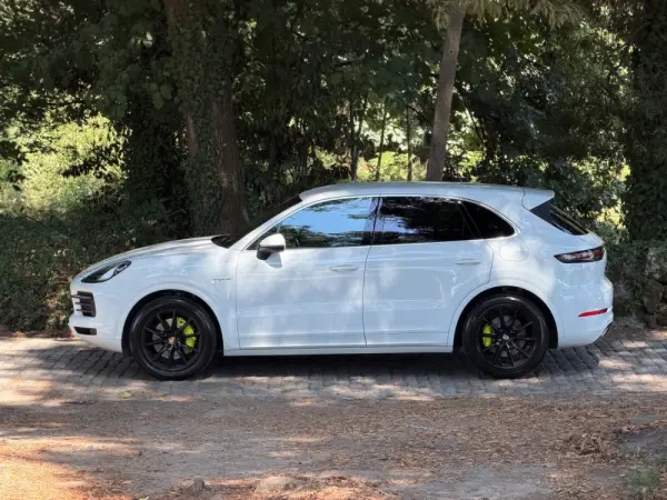 Porsche Cayenne E-Hybrid 10