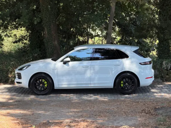 Porsche Cayenne E-Hybrid 65