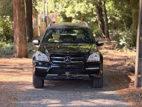 Mercedes-Benz GL 350 CDI BlueEfficiency 20