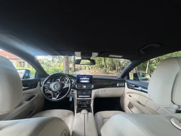 Mercedes-Benz CLS 250 CDi BlueEfficiency 16