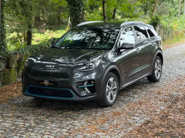 Kia e-Niro 64kWh 31