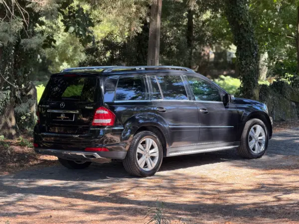 Mercedes-Benz GL 350 CDI BlueEfficiency 18