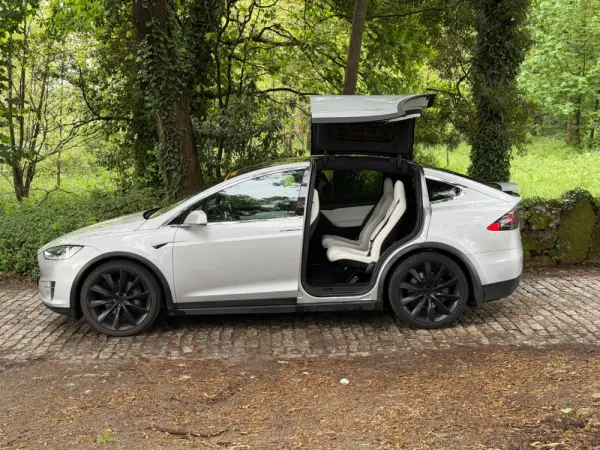 Tesla Model X 100D 39