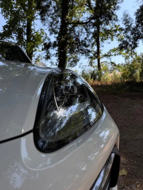 Porsche Cayenne E-Hybrid 12