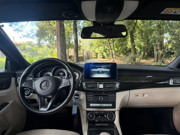 Mercedes-Benz CLS 250 CDi BlueEfficiency 19
