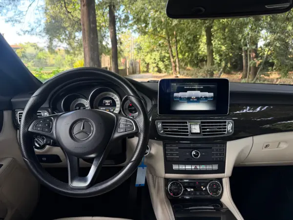 Mercedes-Benz CLS 250 CDi BlueEfficiency 18