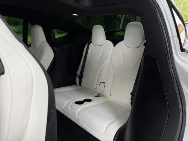 Tesla Model X 100D 45