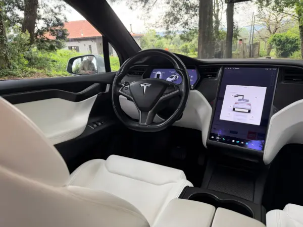 Tesla Model X 100D 30