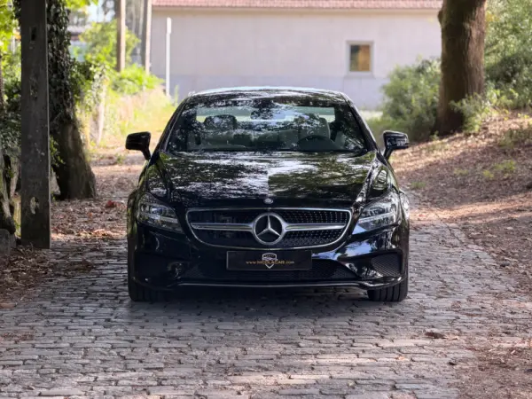 Mercedes-Benz CLS 250 CDi BlueEfficiency 56