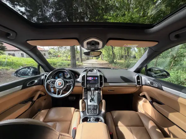 Porsche Cayenne S E-Hybrid Platinum Edition 15