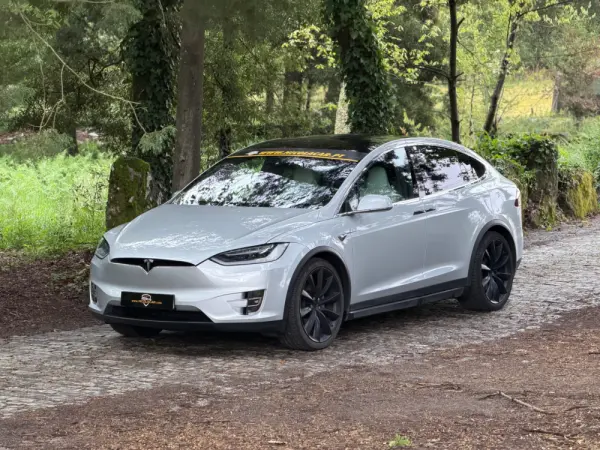 Tesla Model X 100D 21
