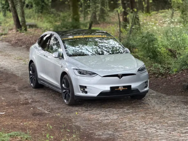 Tesla Model X 100D 24
