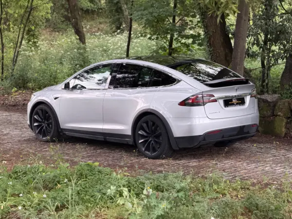 Tesla Model X 100D 5