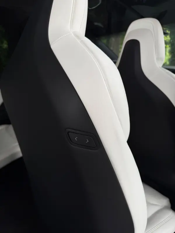 Tesla Model X 100D 11