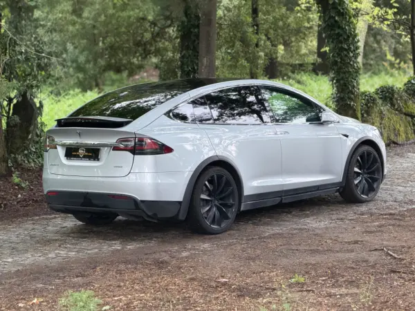 Tesla Model X 100D 7