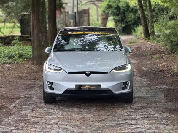 Tesla Model X 100D 2
