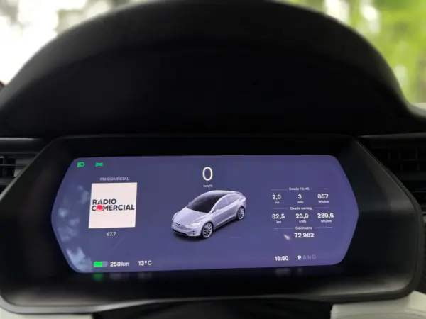 Tesla Model X 100D 18