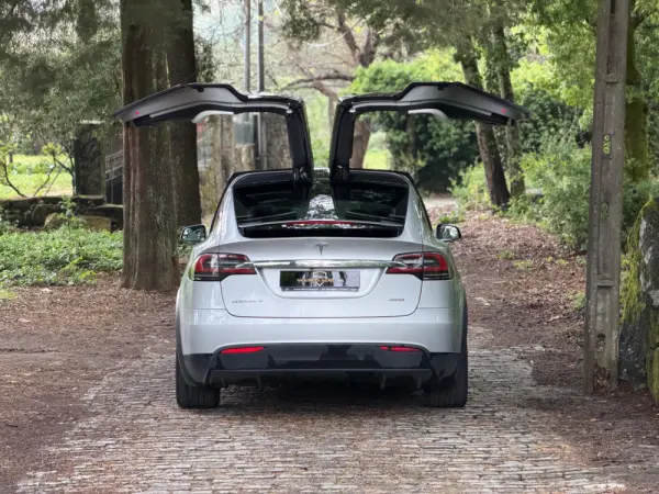 Tesla Model X 100D 35