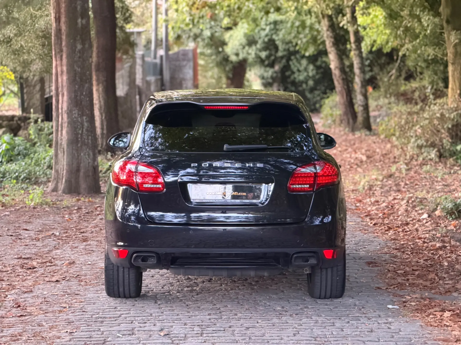 Porsche Cayenne Platinum Edition 6