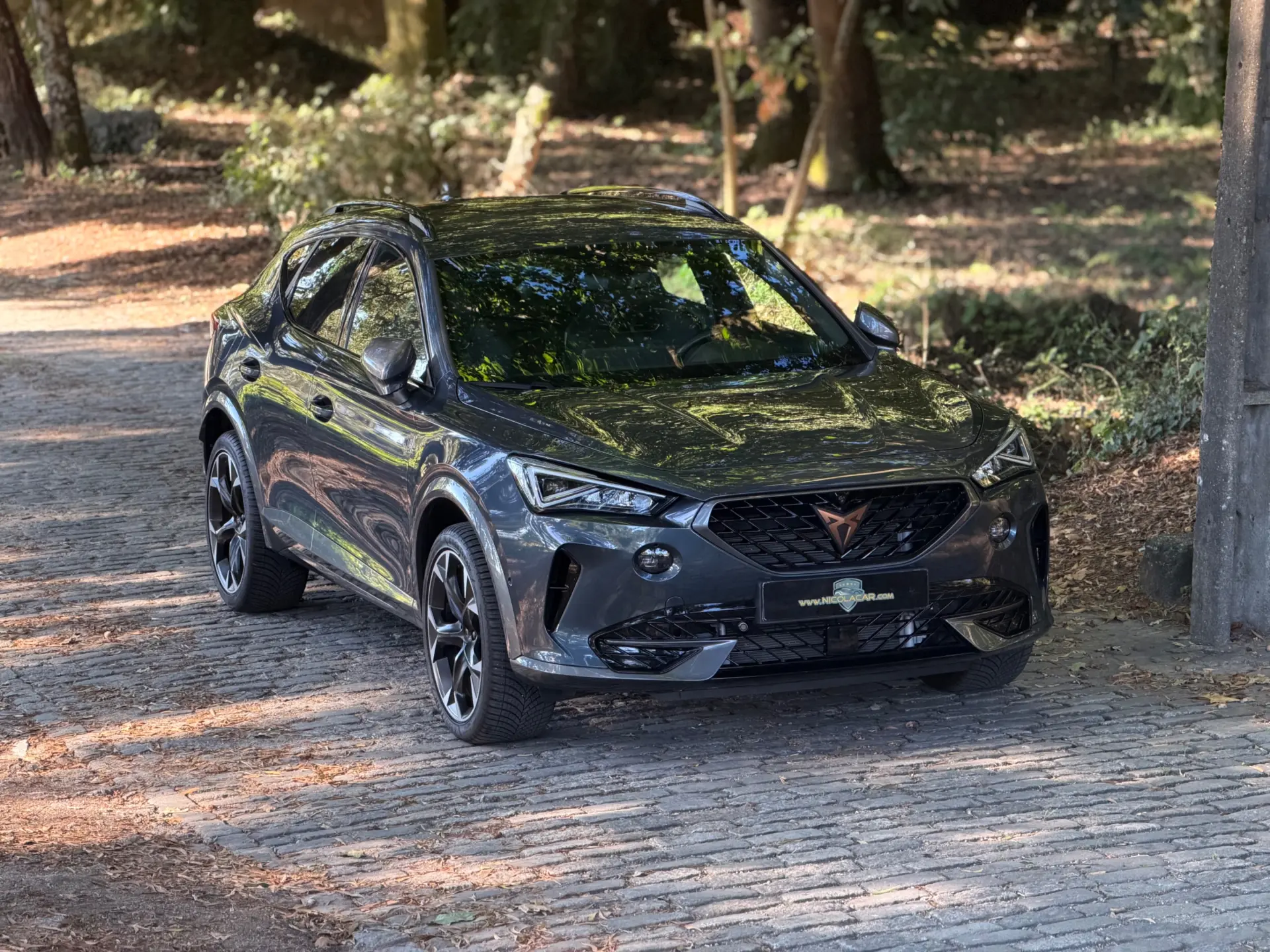 Cupra Formentor 1.4 e-Hybrid DSG 39