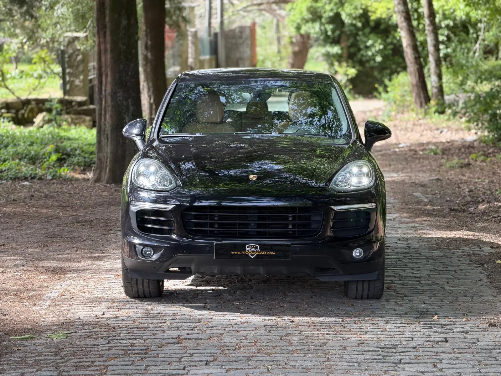Porsche Cayenne S E-Hybrid Platinum Edition 2