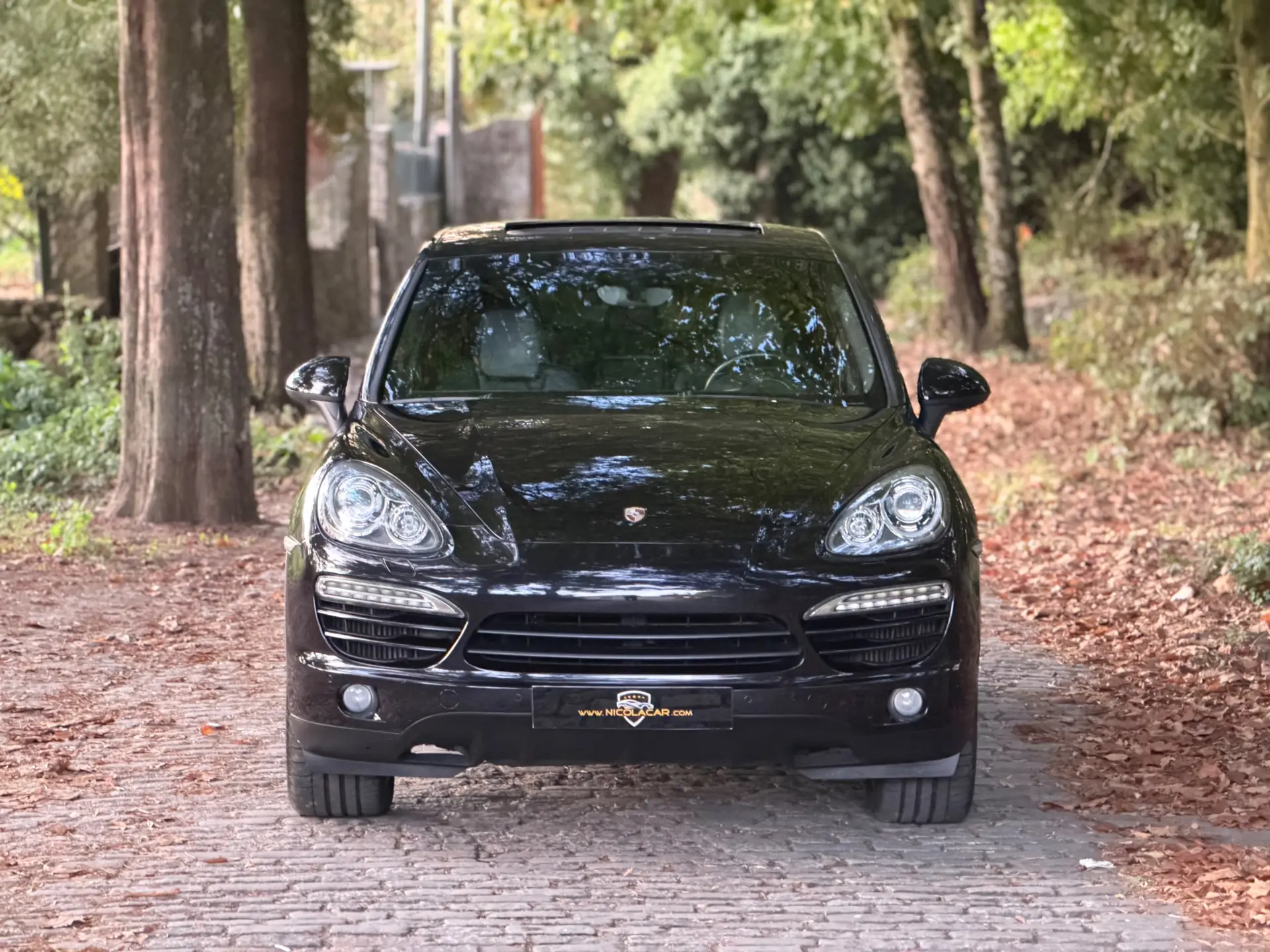Porsche Cayenne Platinum Edition 3