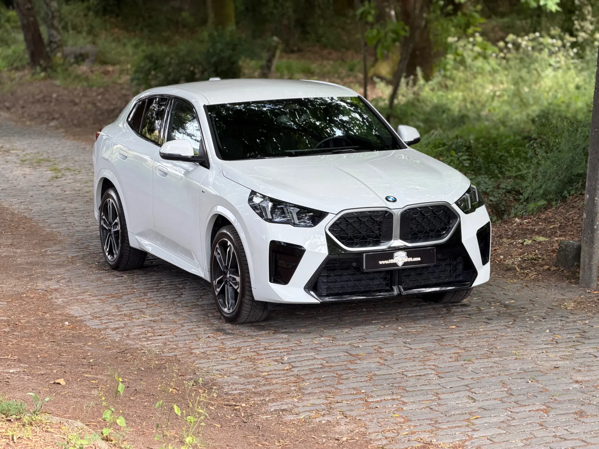 BMW X2 18 d sDrive Auto Pack M 2