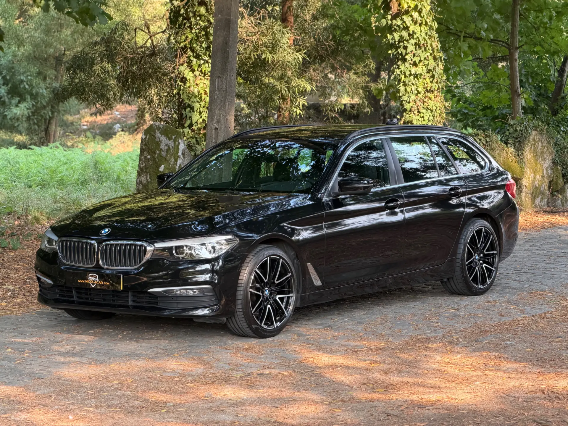BMW 520 d Auto 47