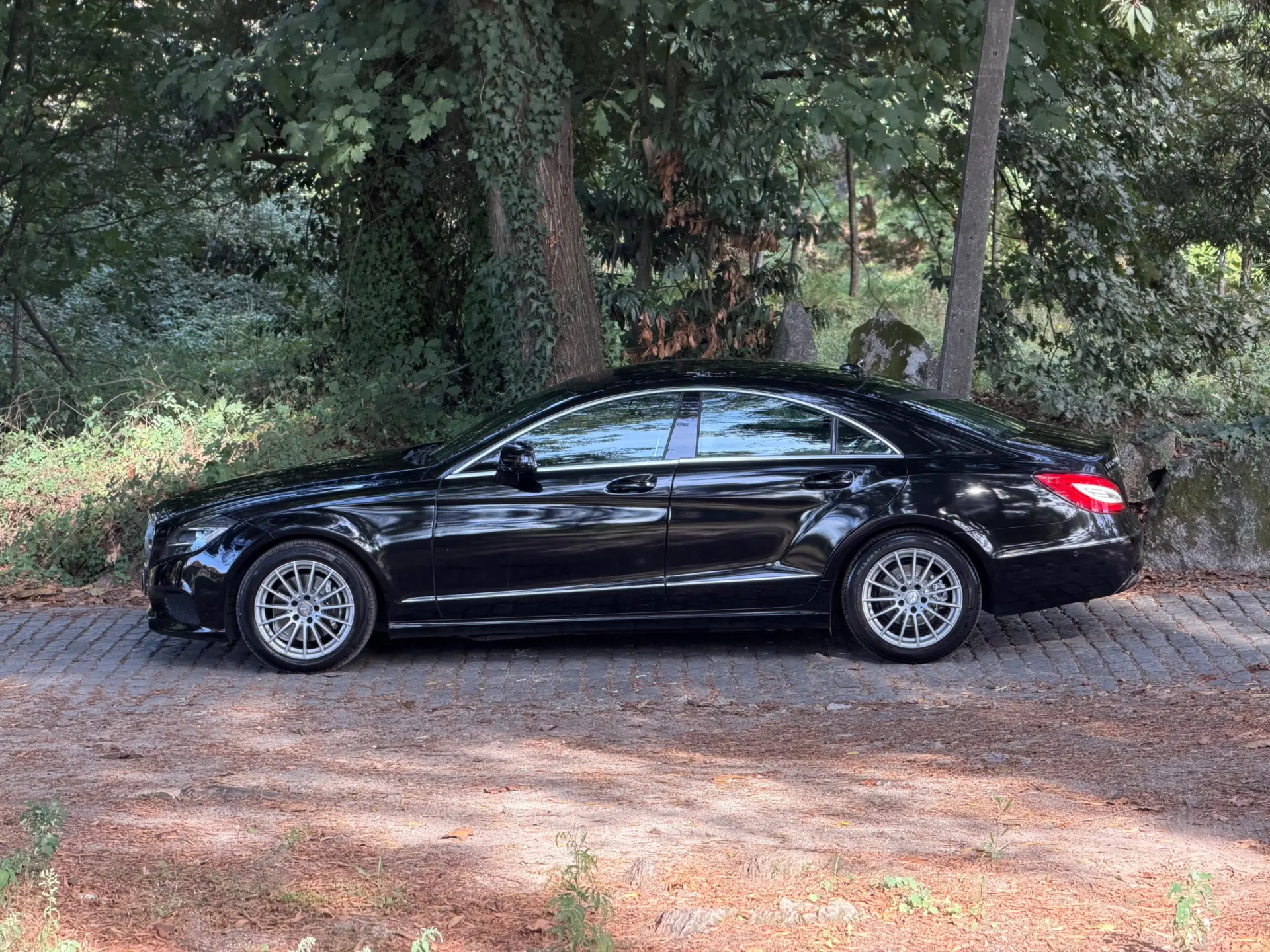 Mercedes-Benz CLS 250 CDi BlueEfficiency 9