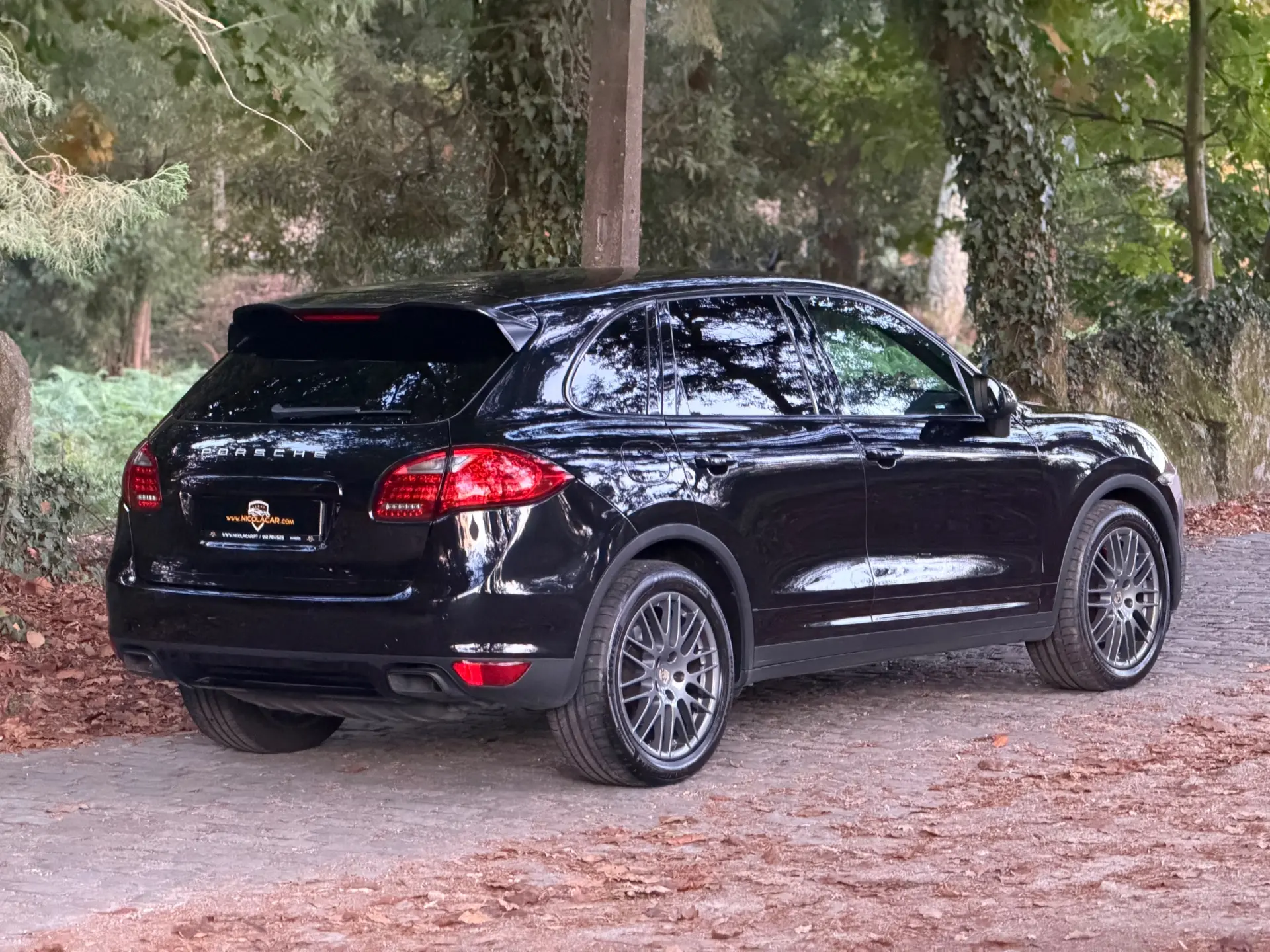 Porsche Cayenne Platinum Edition 7
