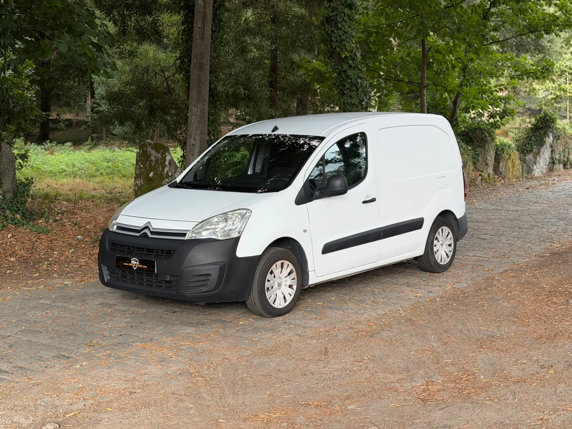 Citroen Berlingo 1.6 BlueHDi Feel 4