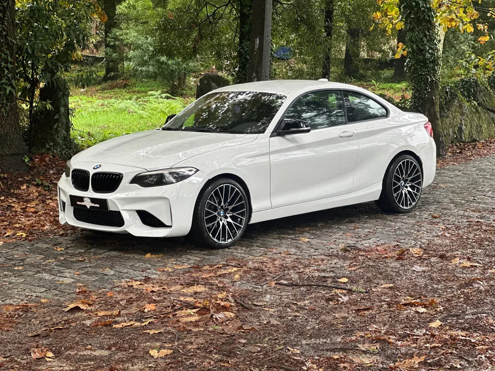BMW 218 d Coupe Line Sport 3