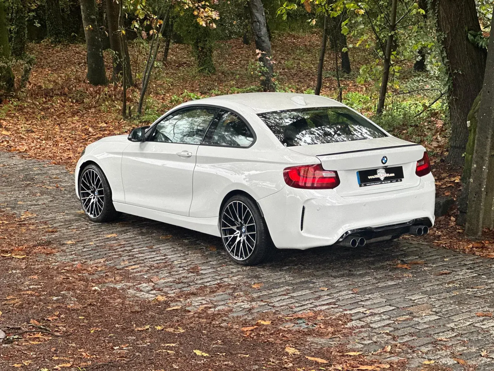 BMW 218 d Coupe Line Sport 18