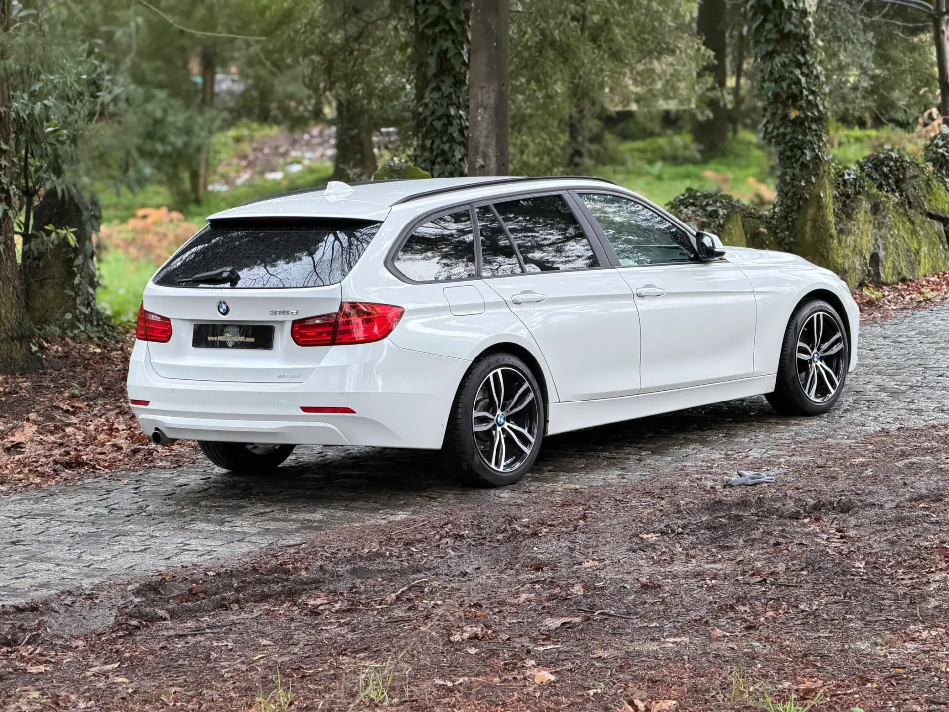 BMW 318 d 31