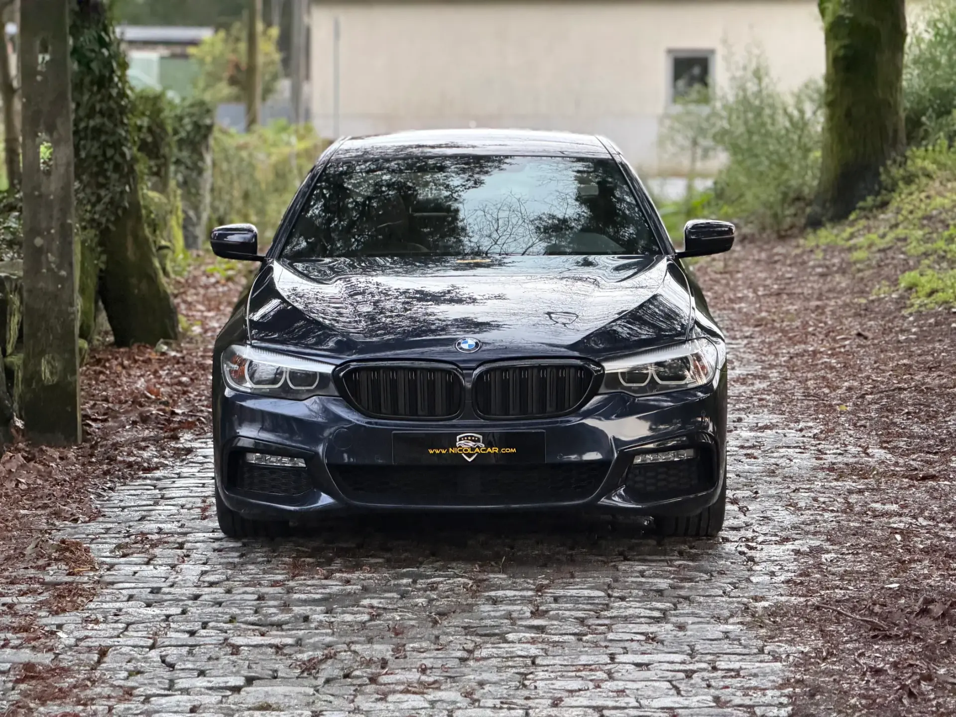 BMW 520 d Pack M Auto 2