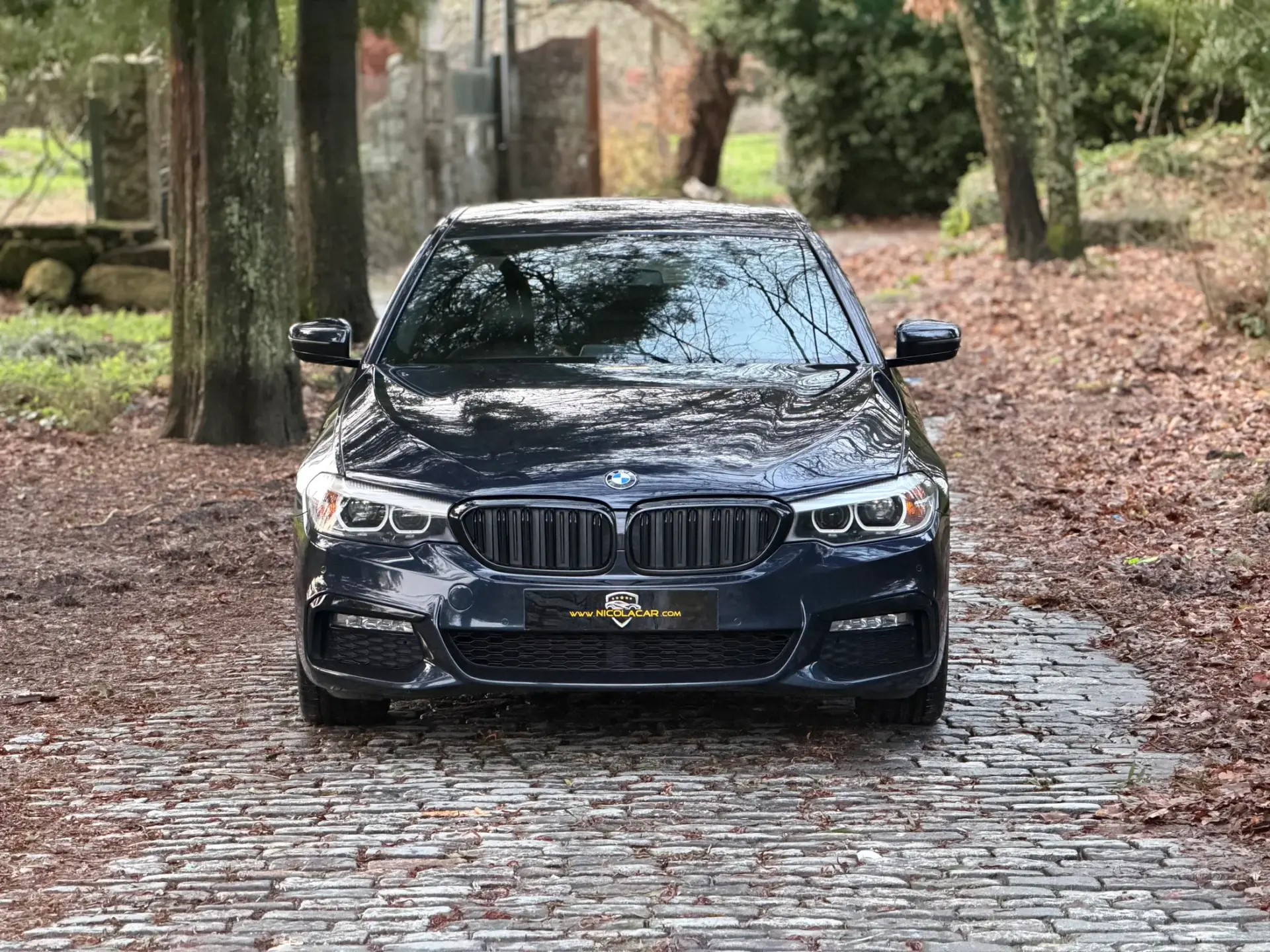 BMW 520 d Pack M Auto 30